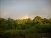 DSCN0453.JPG