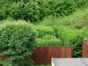 DSCF4446.JPG