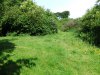 DSCF4459.JPG