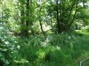 DSCF4450.JPG