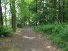 DSCF4449.JPG