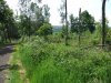 DSCF4454.JPG