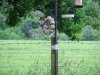 DSCF4486.JPG