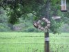 DSCF4488.JPG