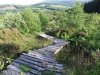 DSCF4514.JPG