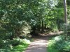 DSCF4521.JPG