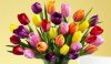 upload_2016-6-24_15-51-10.jpeg