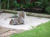 DSCF4535.JPG