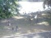 IMG_20160704_120342.jpg