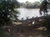 IMG_20160704_120349.jpg