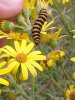 20160730_154329.jpg