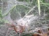 20160730_151058.jpg