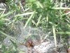 20160730_151036.jpg