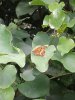20160730_153530.jpg