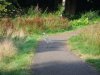 DSCF4585.JPG