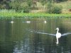 DSCF4580.JPG