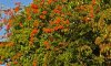 20160815_190305.jpeg