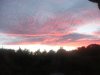 DSCF4586.JPG