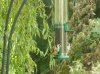 Wildlife 004.JPG