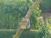 Wildlife 006.JPG