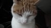 mork2.jpg