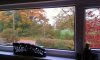 20161023_091246.jpeg