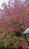 20161023_091605.jpeg