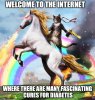 internet.jpg