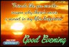 Nice Good Evening Quotes and Greetings Pictures.jpg