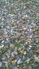 WP_20161120_009.jpg
