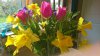mms_img729174785.jpg