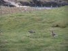 DSCF4884.JPG