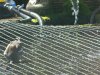DSCN4734.JPG