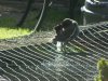 DSCN4742.JPG