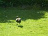 DSCN4743.JPG