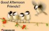 274438-Good-Afternoon-Friends-.jpg