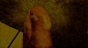 67_image.jpg