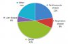 pie-chart.jpg