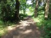 DSCF4456.JPG