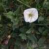 ImageUploadedByDCUK Forum1394986541.883574.jpg ImageUploadedByDCUK Forum1394986541.883574.jpg