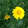 ImageUploadedByDCUK Forum1395242641.652669.jpg