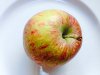 Apple.JPG