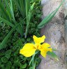 ImageUploadedByDCUK Forum1397020429.954032.jpg