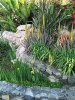 ImageUploadedByDCUK Forum1397277322.677435.jpg