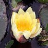 ImageUploadedByDCUK Forum1398192082.367910.jpg