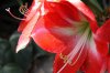 ImageUploadedByDCUK Forum1398232110.732374.jpg