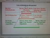 Low carb diet pyramid.jpg