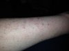 ImageUploadedByDCUK Forum1400011240.740237.jpg