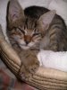 IMGP0573.JPG