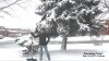 snowshovelling-timeDec12- 17 copy.jpg